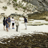 Guided Marine Walks at De Hoop